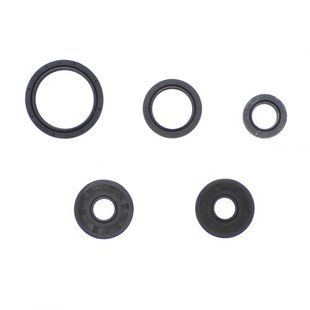 Сальники двигуна BMW G450X 07-10/HUSQ TC-TE-TXC449 11-14, Athena P400068400015 P400068400015 фото