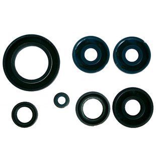 Сальники двигуна BMW F650 GS '99-'08, F650/ST '93-'98, F650 CS, G650 GS/X, Can-Am DS 650 '00, Athena P400070400001 P400070400001 фото