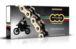 Цепь Regina 520 G&B ZRE/118 Gold/Black 135ZRE/1007 фото