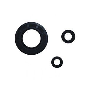 Сальники двигуна Kawasaki ZX-10R 2007-2010, Athena P400250400033 P400250400033 фото