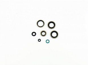 Сальники двигуна Kawasaki KDX 200 / 220 '95-'03, Athena P400250400221 P400250400221 фото