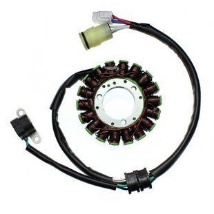 Статор генератора Yamaha YFM 250 BIG BEAR (07-09), BRUIN (05-06), Elektrosport ESG806 ESG806 фото