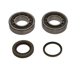 Підшипники з сальниками колінвала KTM SXF/EXCF 250 '06-'12, All Balls 24-1105 24-1105 фото