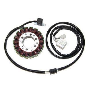 Статор генератора Yamaha T-MAX 500 (01-11), Elektrosport ESG836 ESG836 фото