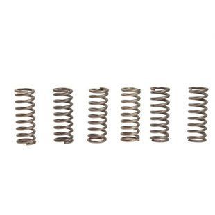 Пружины корзины сцепления Honda CRF 450R '09-'10, CB 600F '00-'15, CBR 600F '91-'98, XR 650R '00-'07, Vesrah SK-157 SK-157 фото