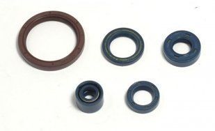 Сальники двигателя Husqvarna TE 250 03-09, TE 310 09-10, TE 450/510 03-10, TC 250/310/450, Athena P400220400255 P400220400255 фото