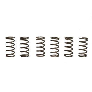 Пружины корзины сцепления Kawasaki ZX6R '05-'12, ZX 10R '04-'12, ZRX 1200 '01-'05, Vesrah SK-440 SK-440 фото